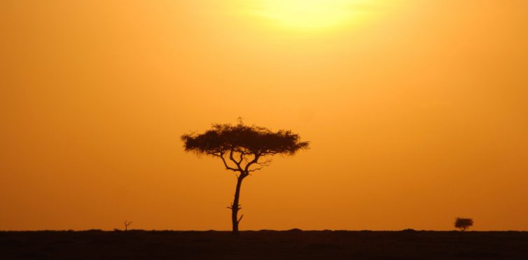 Kenya – heaven for safari enthusiasts